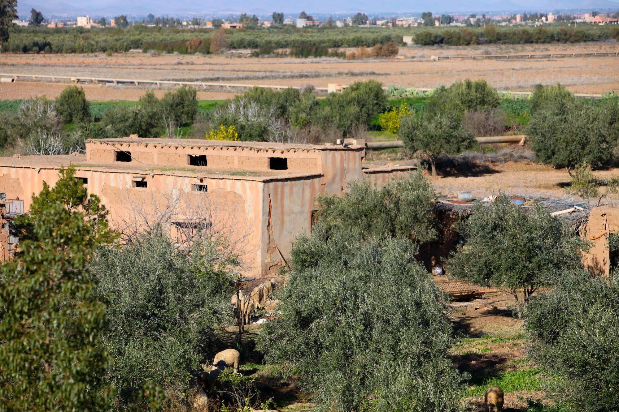 Riad Couleur Sable Ξενοδοχείο Sidi Abdallah Ghiat Εξωτερικό φωτογραφία